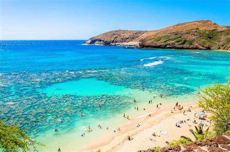 🏝 Île du Paradis 🏝